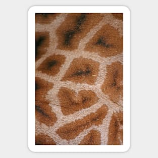 Natural Abstracts - Giraffe Hide Sticker